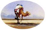 Spencer W Tart Watercolour artist Middle East Camel